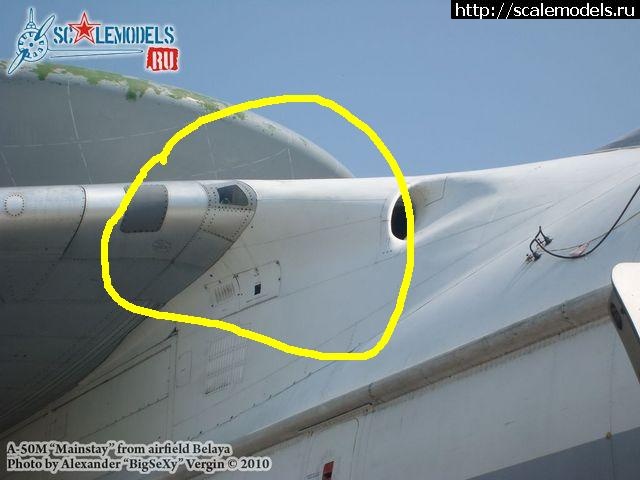 1341850995_115.jpg :  -50   