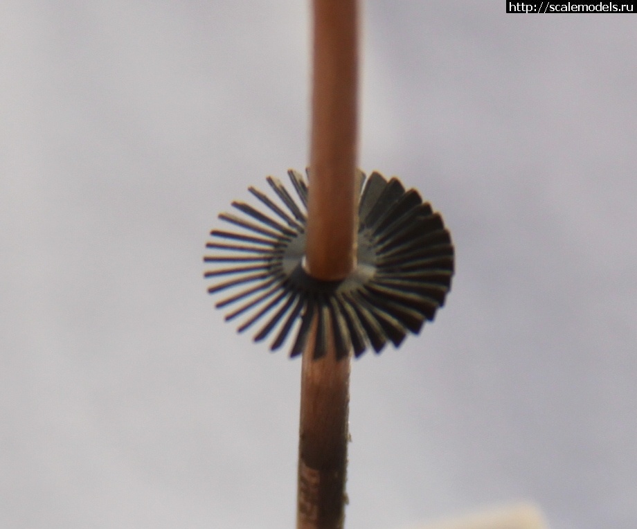 1341853246_IMG_6599.jpg : #714176/ Airbus A-320 Revell ()  