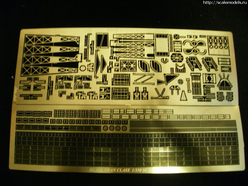 1343363648_SDC12694a.jpg : WEM 1/350 HMS Starling   ...(#5461) -   