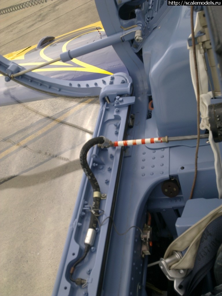 1343598952_11052010024.jpg : ����� �-39 �� Baltic Bees ������� ����