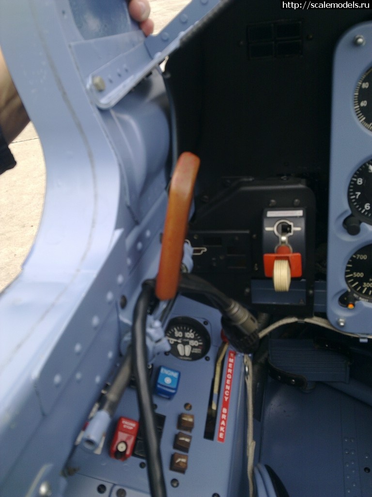 1343599082_11052010045.jpg : ����� �-39 �� Baltic Bees ������� ����