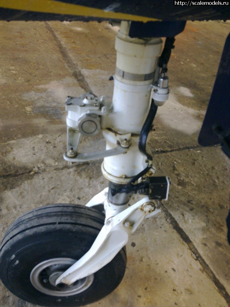 1343599701_19052010124.jpg : ����� �-39 �� Baltic Bees ������� ����