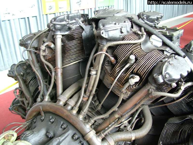 1344367320_a_V1te_Hf9_d2303e53b4241b4398072550a642fd61.jpg : #726983/  5    