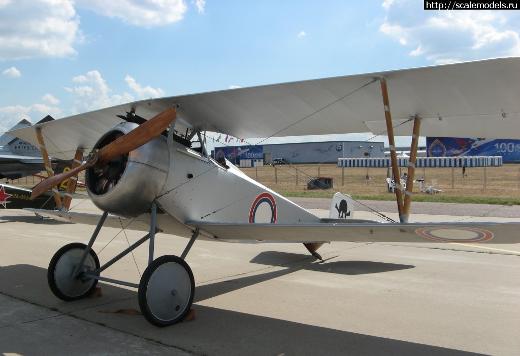 1344636854_IMG_1999.jpg :   -2012.  