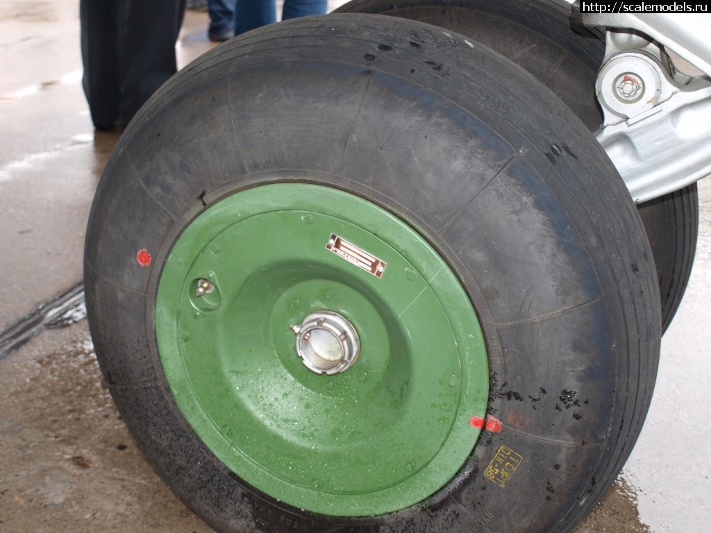 1345960538_P1018240.jpg :   