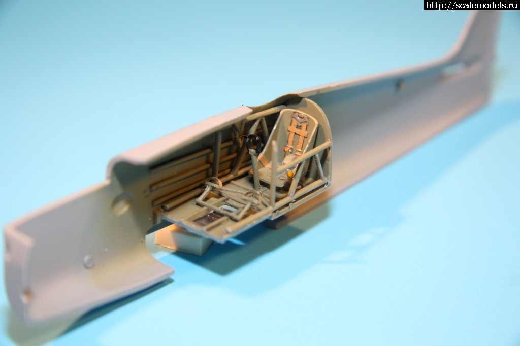 1347198285_IMG_8677.jpg : #740826/ ��.51 �� ������� ������� ����