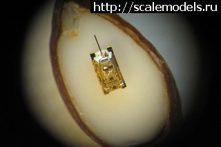 1347642868_photo46.jpg : #743424/ ����-����� �� ������ ����� ��������� ! ������� ����