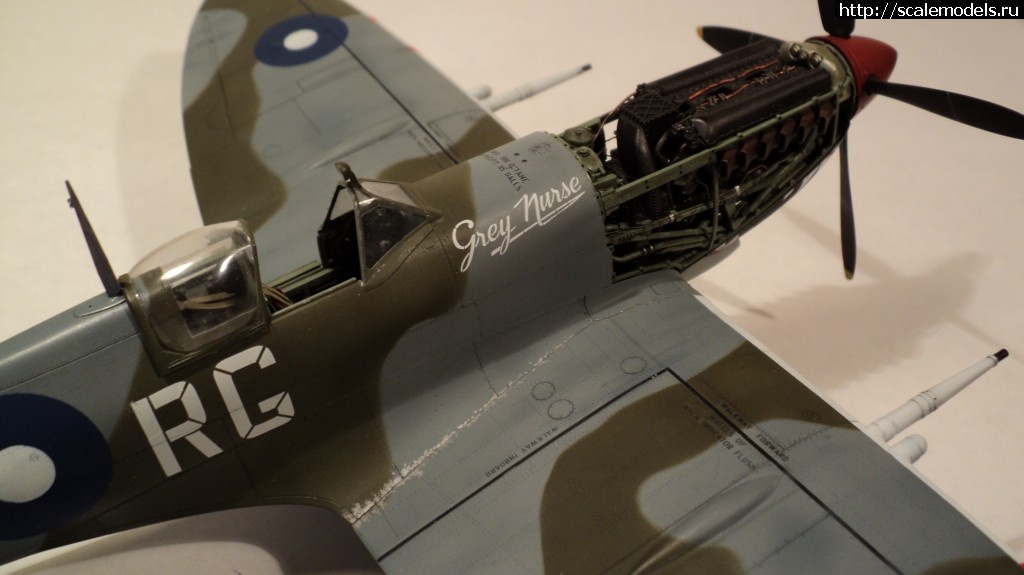 1348553442_DSC00333.jpg : #747615/ Spitfire LF Mk.VIII (Tamiya) -  -   