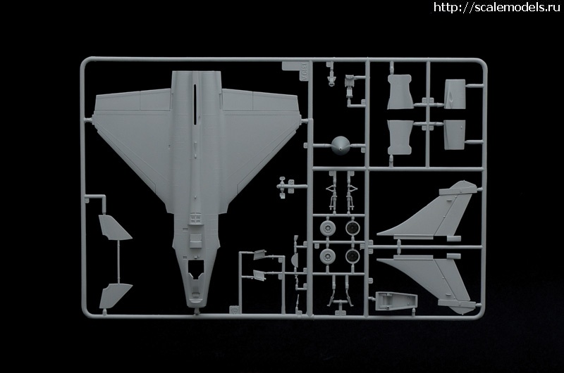 1349077700_1319_sprue1-283-x-182cm.jpg :   
