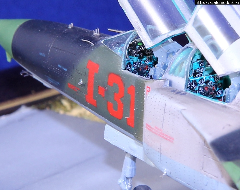 1349548862_1.jpg :  "  " -  1/72  