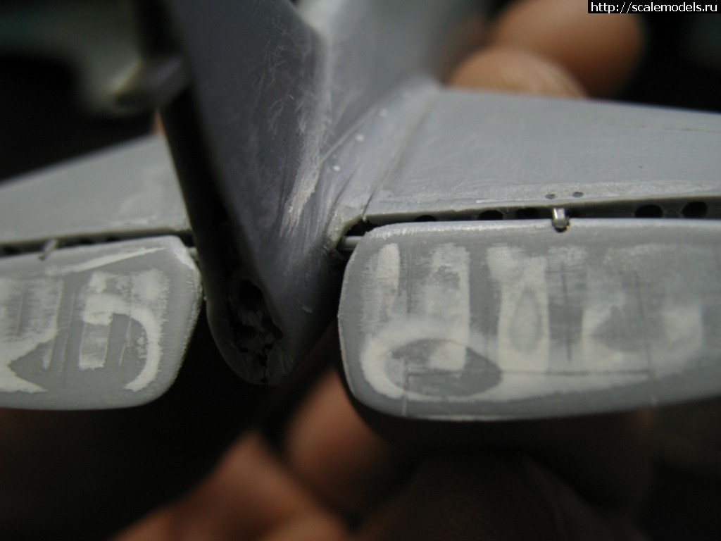 1350511017_IMG_8824.jpg : #758884/    -3  " "  