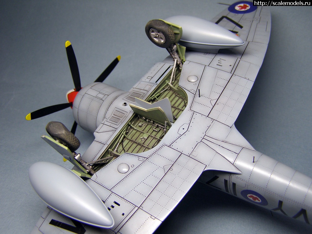 1350903086_26.jpg :  . .  