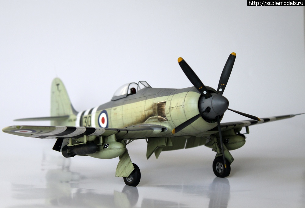 1350903794_1f.jpg :  . .  