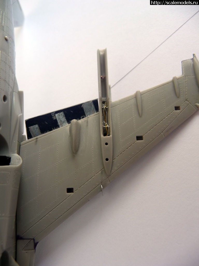 1351532399_P1080728.jpg : #764879/ "  !"  AV-8B ()  