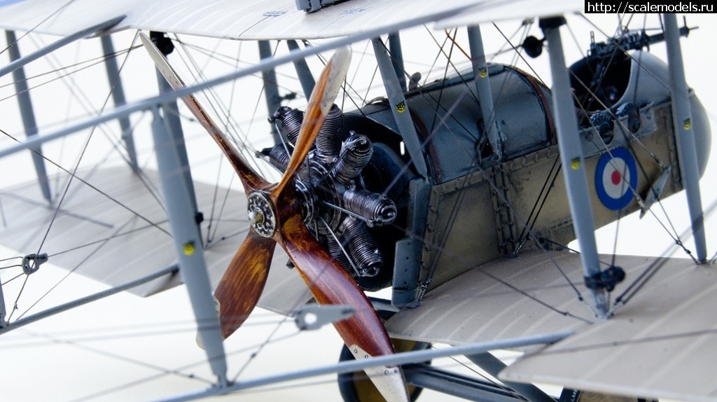 1351764169_48-7-5.jpg :   