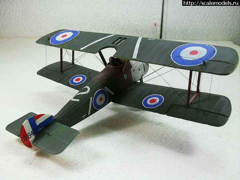 1351764668_48-9-2.jpg :   