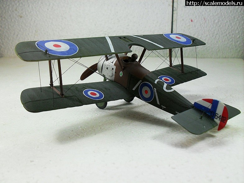 1351764668_48-9-3.jpg :   