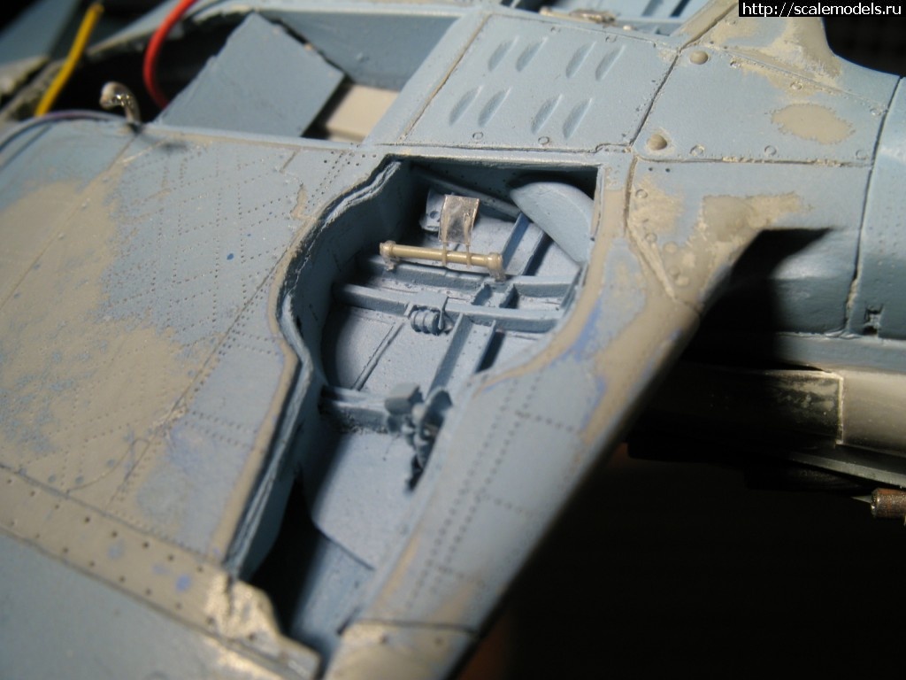 1353331385_IMG_8958.jpg :    -3  " "  