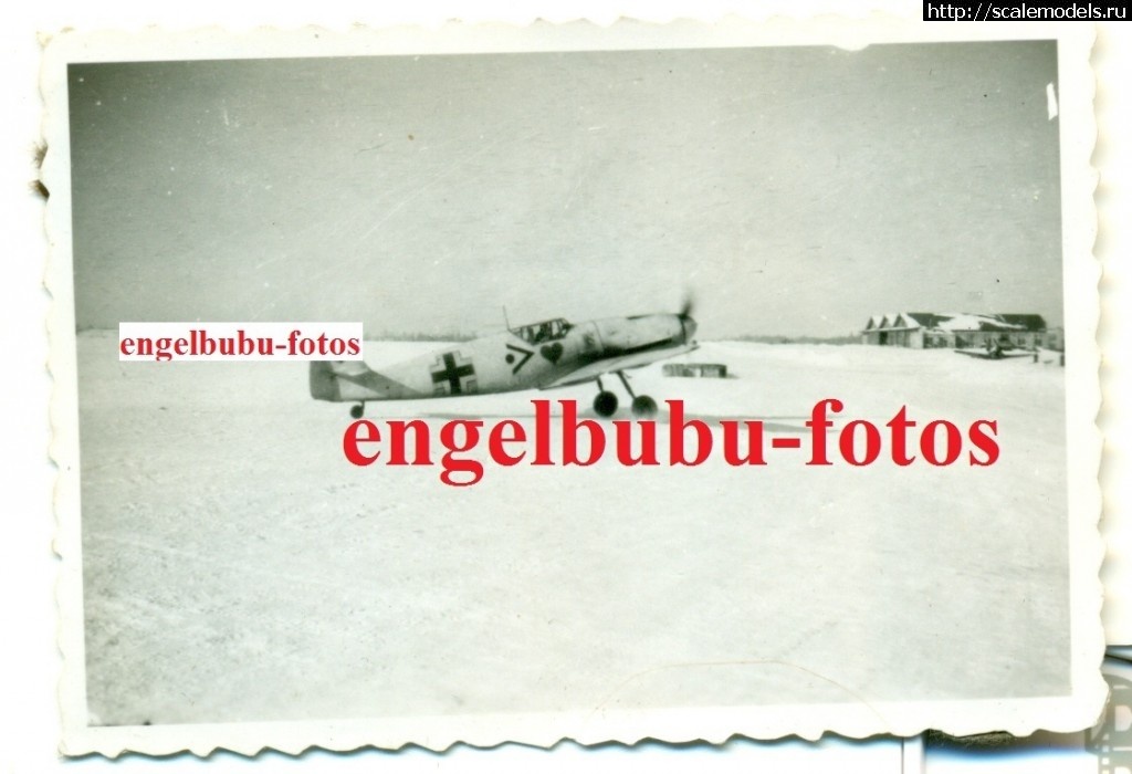 1354387571_KGrHqVoUFB0WPFMu5BQt0iPl8vg60_10.jpg : #781288/  Bf 109 (F)-   .  