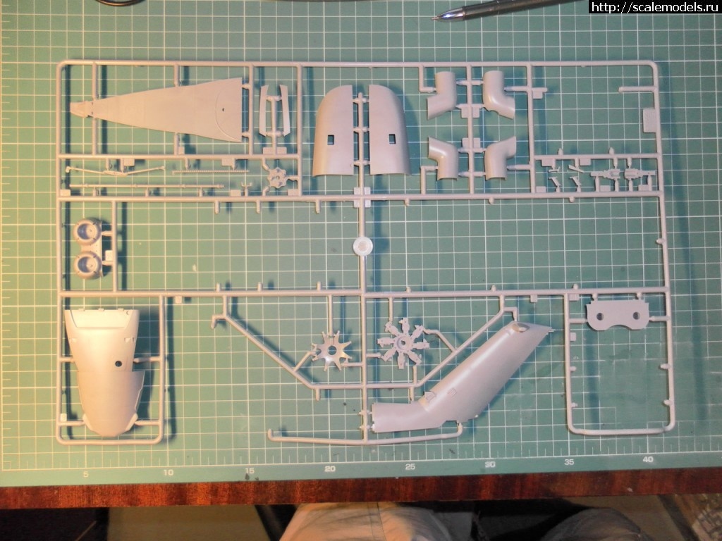 1354388386_SAM_3928_rrrsr-srrrrs.jpg : 1/72 -26 ""  