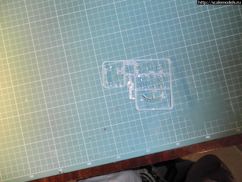 1354388389_SAM_3930_rrrsr-srrrrs.jpg : 1/72 -26 ""  