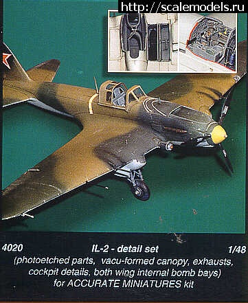 1354534900_CMK4020.jpg : #782086/       -2  