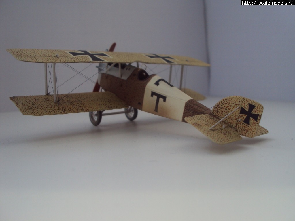 1355955732_DSC05680.jpg : #789523/ Aviatik (Berg) D.I 1:72 ( EE, ex TOKO ) - !!!  