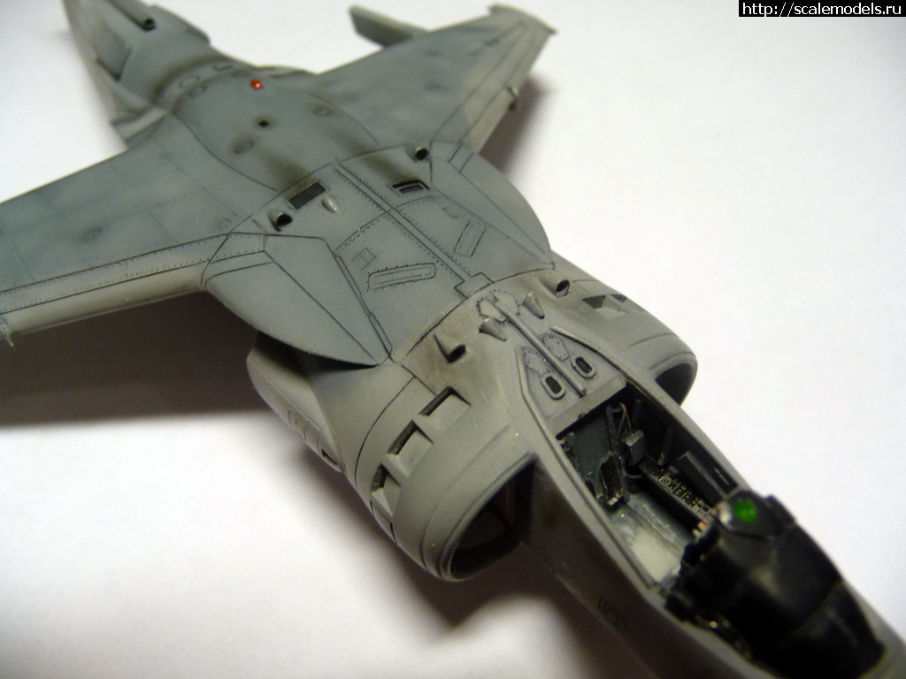 1356423133_P1090078.jpg : #792106/ "  !"  AV-8B ()  