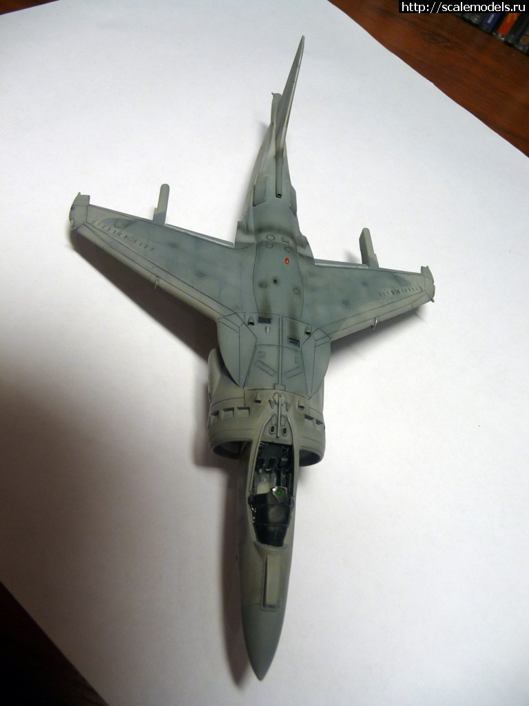 1356423151_P1090076.jpg : #792106/ "  !"  AV-8B ()  