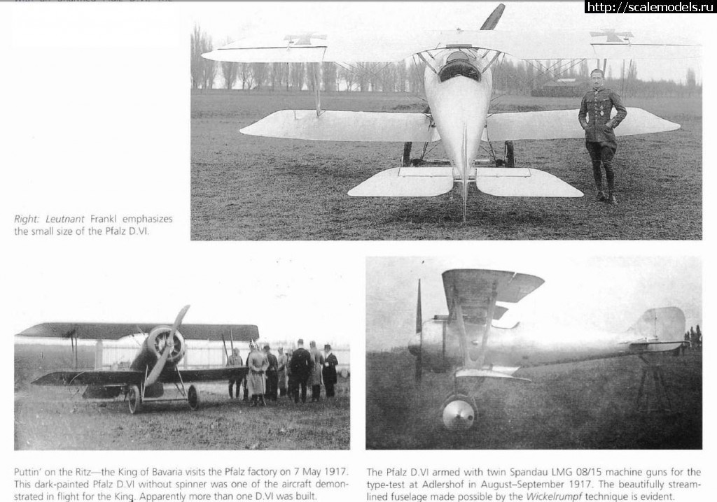 1356644658_Pfalz-D-VI-3.jpg : Pfalz D VI -   -  