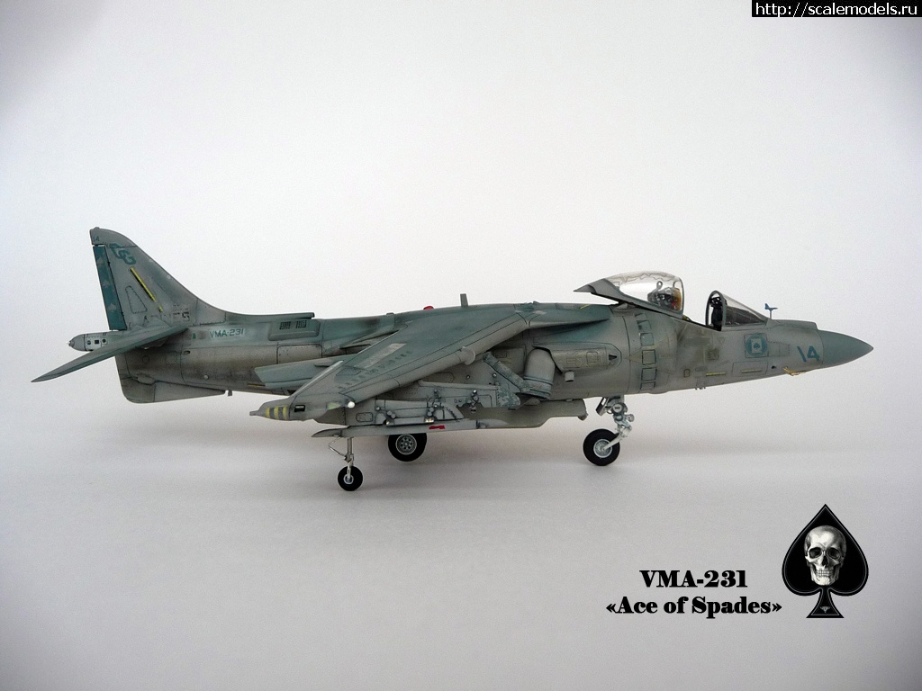 1356784576_P1090228.jpg : #794103/ "  !"  AV-8B ()  