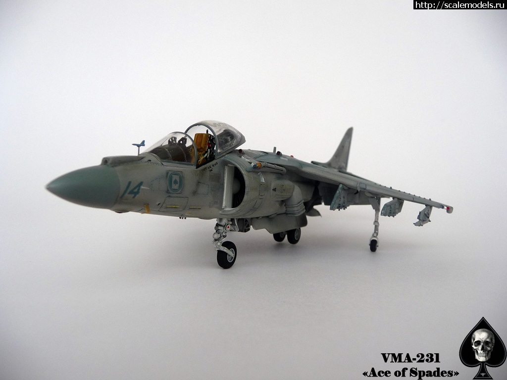 1356784587_P1090235.jpg : #794103/ "  !"  AV-8B ()  