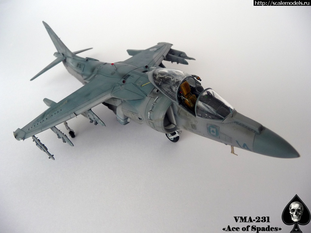 1356784589_P1090237.jpg : #794103/ "  !"  AV-8B ()  