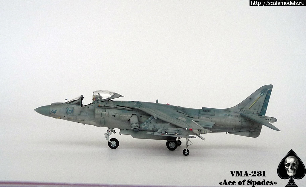 1356785716_P1090252.jpg : #794103/ "  !"  AV-8B ()  
