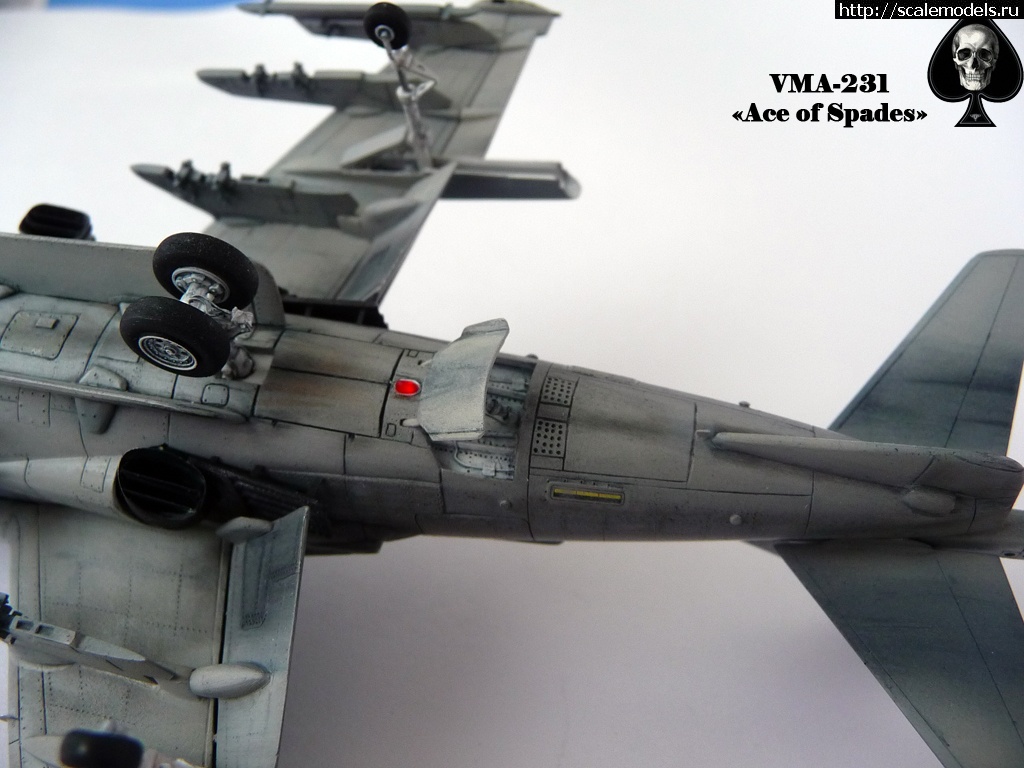 1356785728_P1090257.jpg : #794103/ "  !"  AV-8B ()  