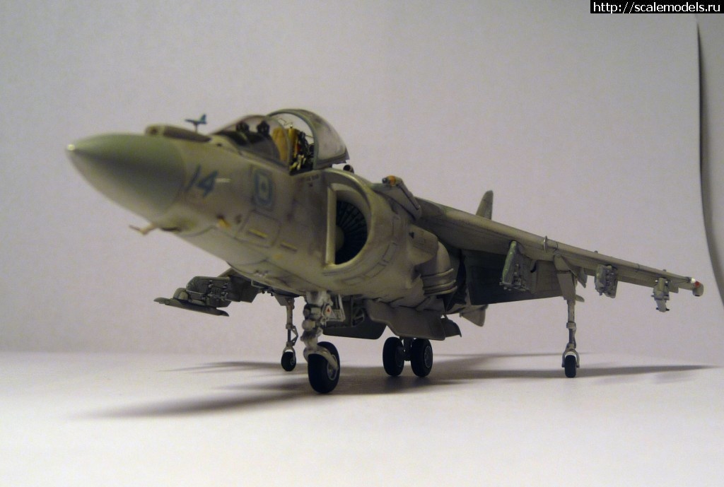1356786367_P1090197.jpg : #794121/ "  !"  AV-8B ()  