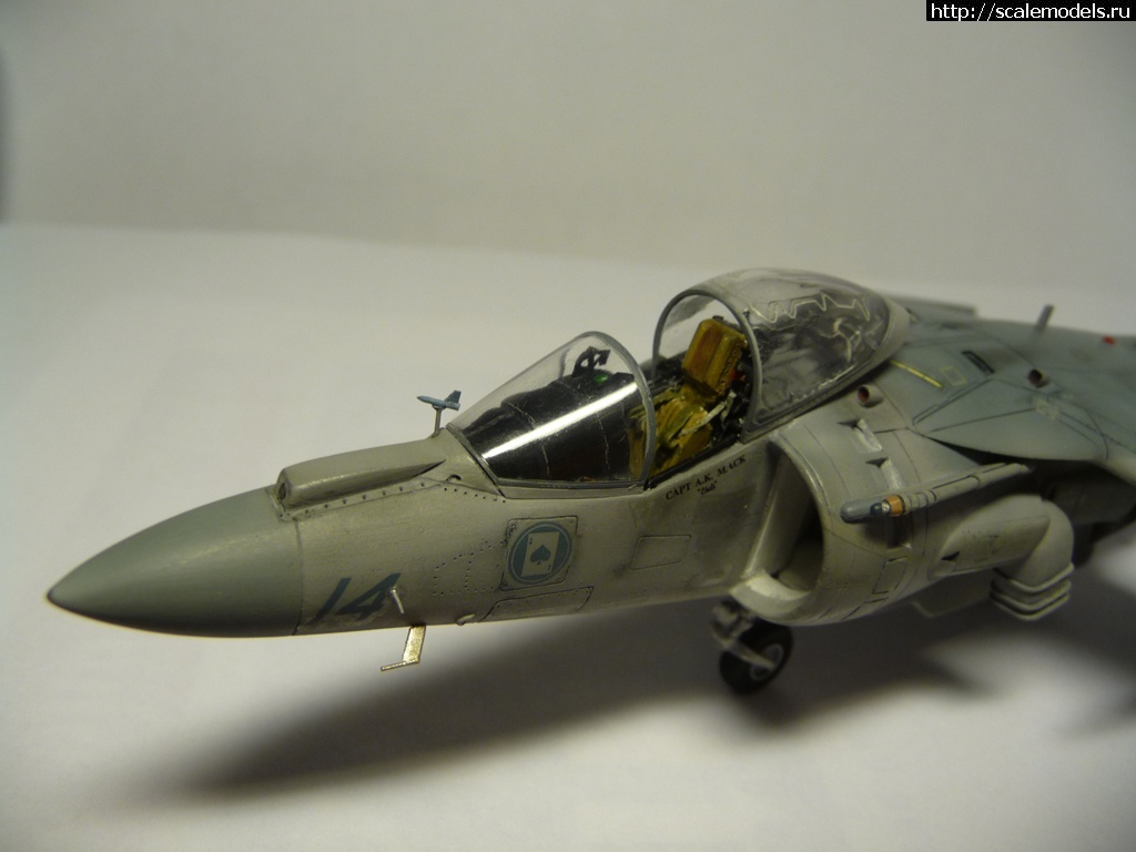 1356786405_P1090211.jpg : #794121/ "  !"  AV-8B ()  