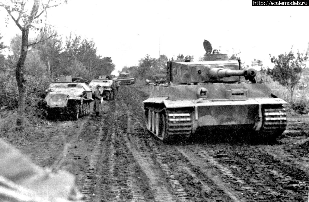 1357668925_B01_1.jpg : #798954/     .  