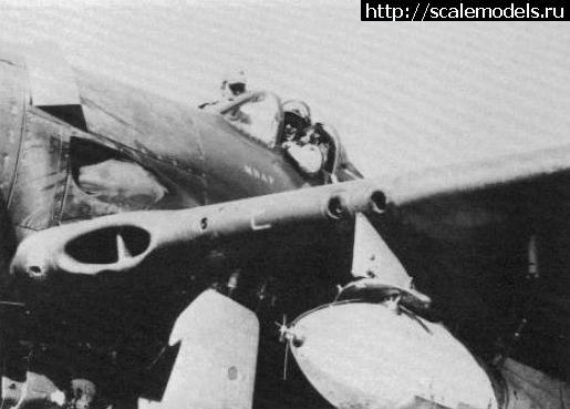 1358521466_402.jpg : F8F Bearcat -   .  