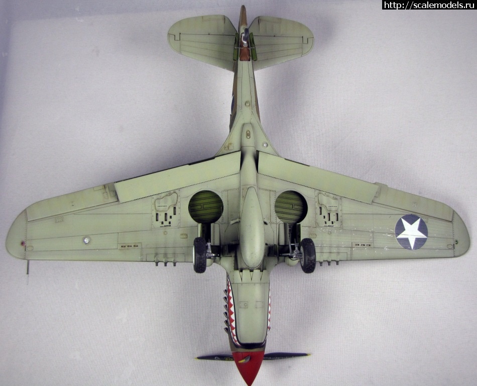 1360223841_IMG_3511.jpg :  -39/-40. 1/48. .  