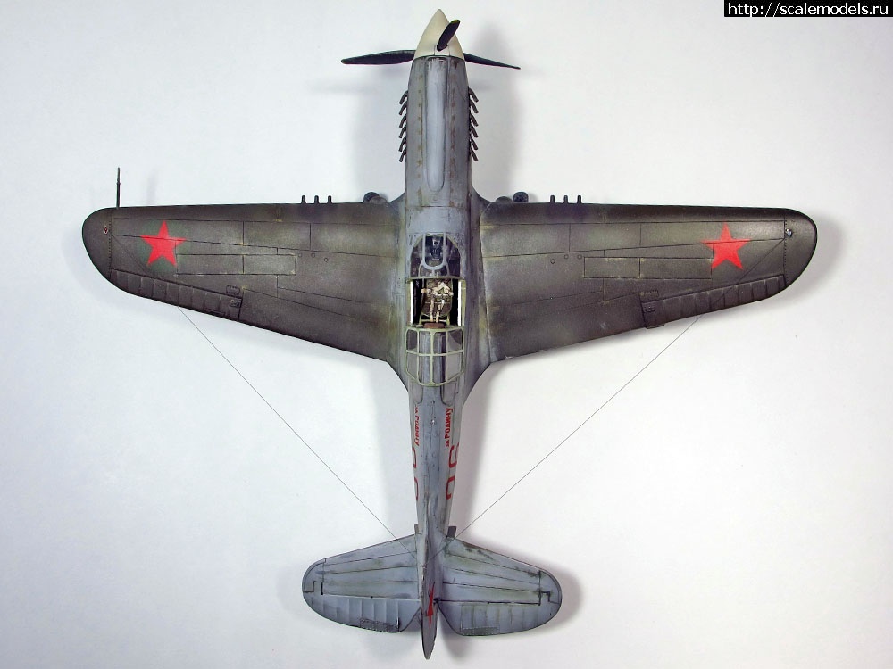 1360224703_9.jpg :  -39/-40. 1/48. .  