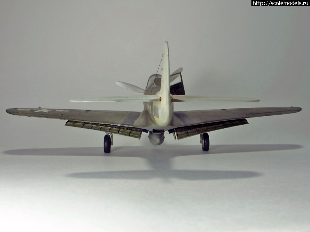 1360224880_7.jpg :  -39/-40. 1/48. .  