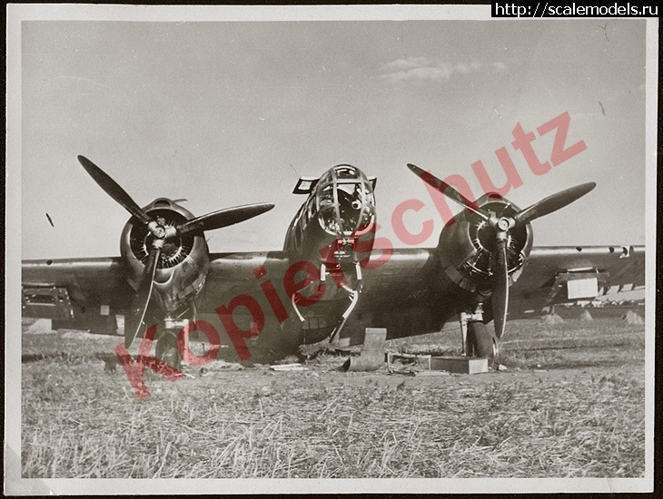 1361431295_db7_21x21.jpg : #823429/ Martin Maryland -   