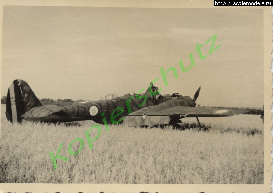 1361431482_Maryland_17x17.jpg : #823429/ Martin Maryland -   