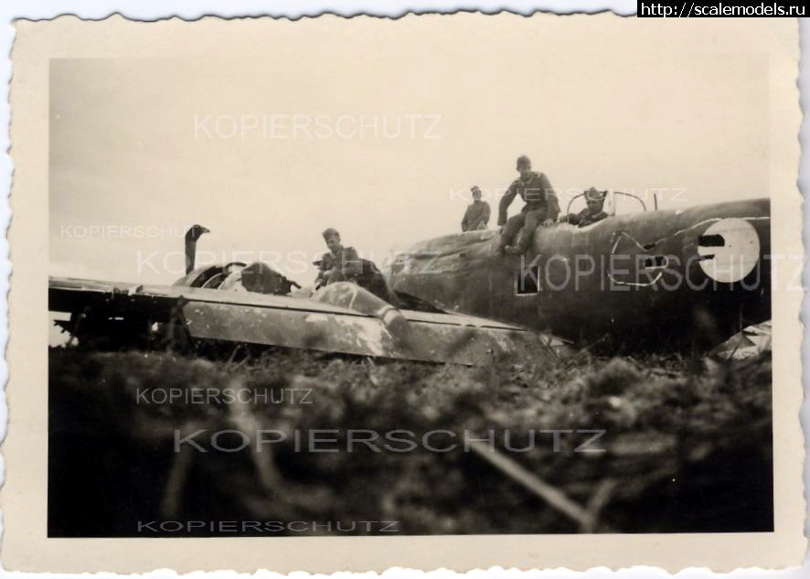 1361518120_maryland_25x03.jpg : #823429/ Martin Maryland -   