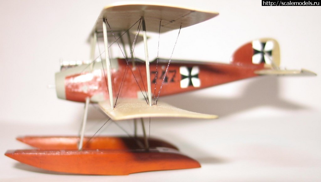 1362023508_IMG_5877.jpg : #826410/ Roden Albatros w.4 early 1/72   