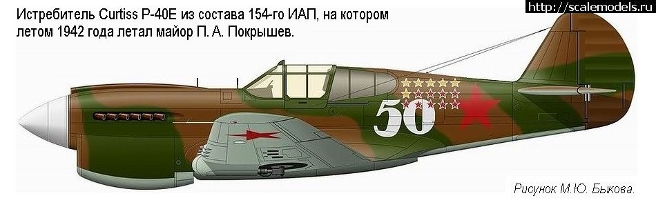 1362165437_p40_pokr.jpg : #827416/  : -40-    