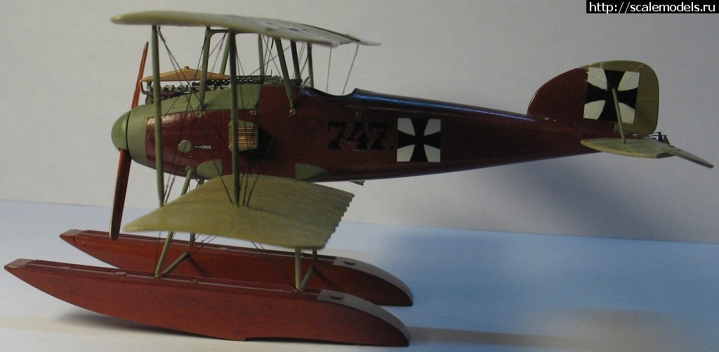 1362222797_1362074167_IMG_5905.jpg :   -4   1/72  