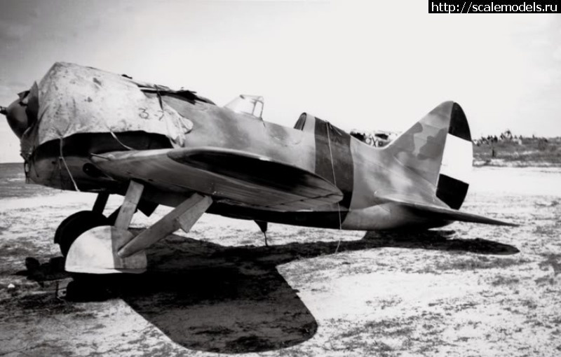 1363034469_rrrjarraez.jpg : #832396/ Academy 1/48 -16  5(#3681) -   