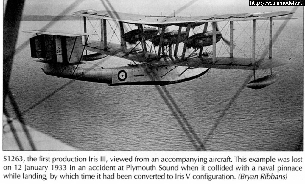 1365021232_10.jpg : #844913/ Blackburn Iris  Sanger (1/72)  
